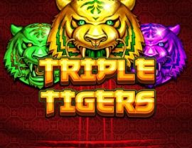 Triple Tigers Pragmatic Play Slots