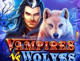 Vampires vs Wolves