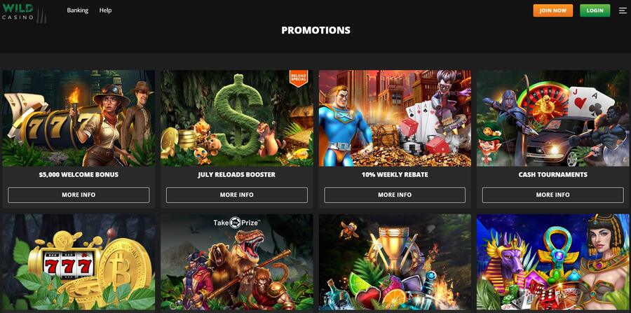 Wild Casino Promotions Image